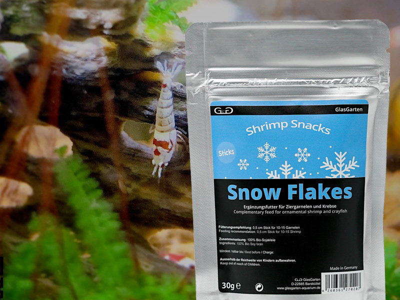 alimentacion caridinas